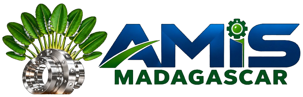 AMIS Madagascar